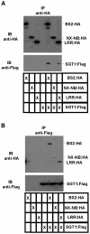 Figure 7.