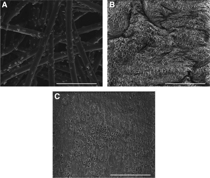 FIG. 6.