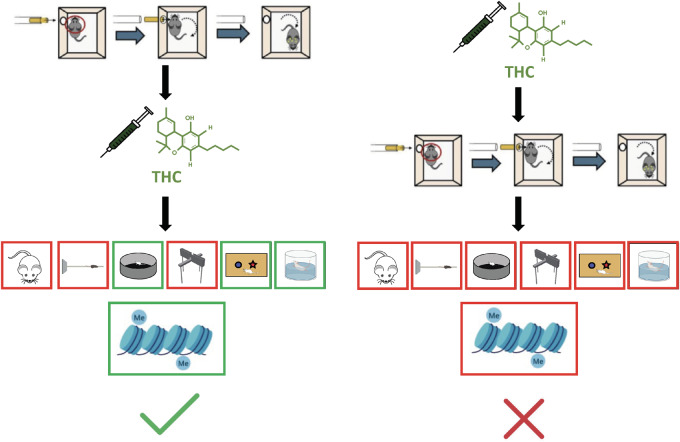 Graphical Abstract