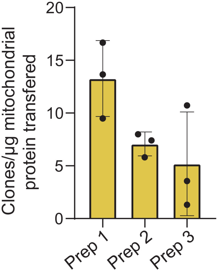 Figure 3—figure supplement 4.