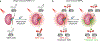 Fig. 1 |
