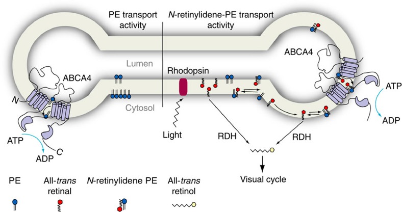 Figure 7