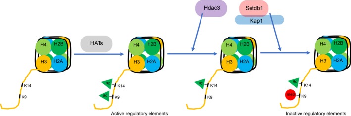 Figure 7