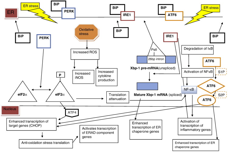 Fig. 4