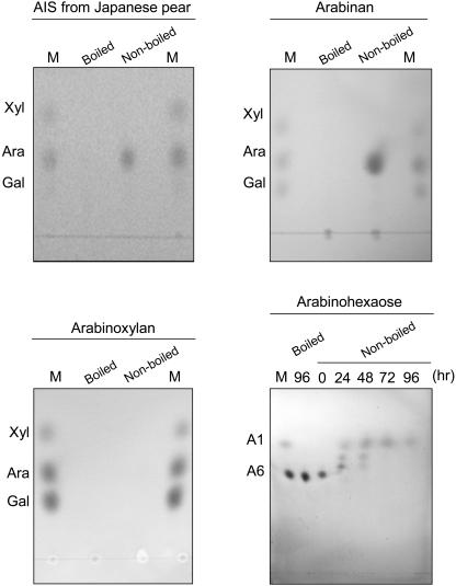 Figure 7.