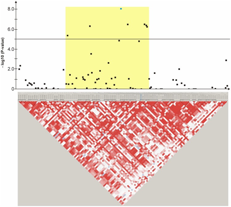 Figure 13