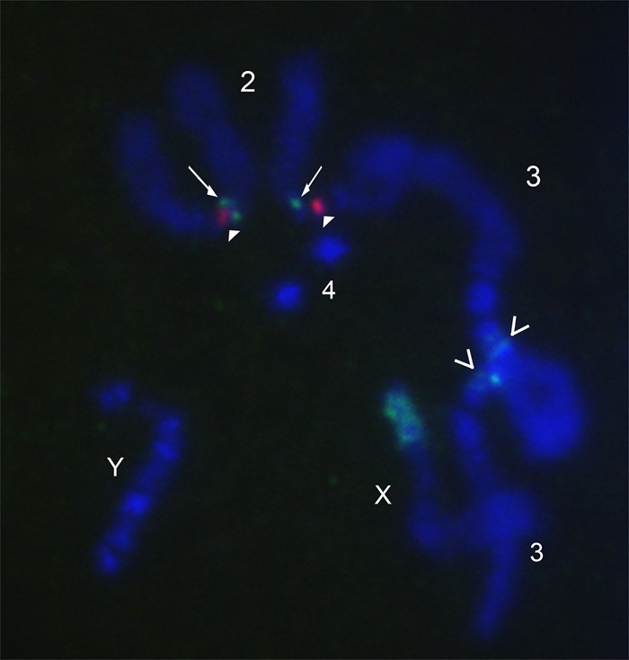 Figure 1.