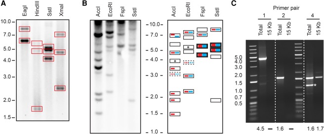 Figure 2.