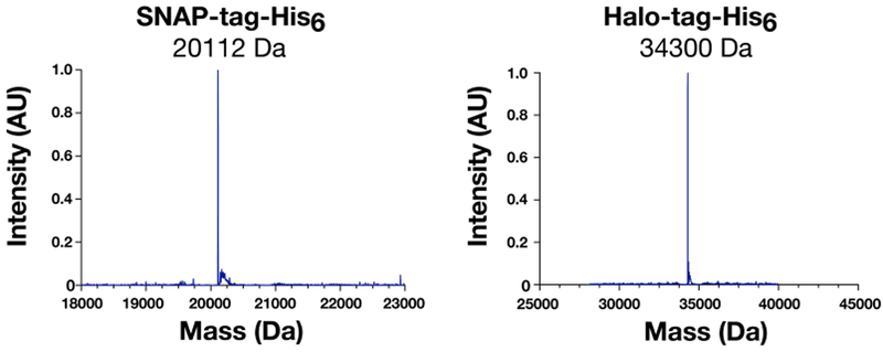 graphic file with name nihms-1518393-f0006.jpg