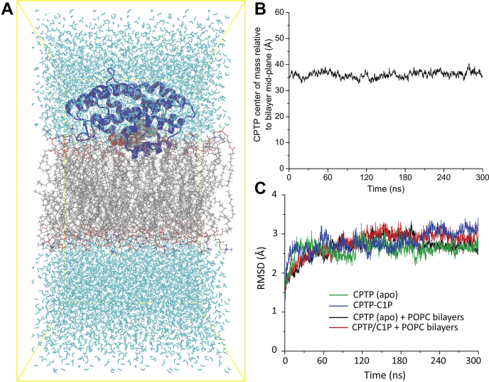 Fig. 1