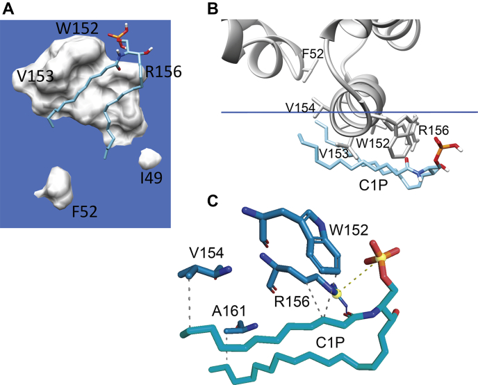 Fig. 6