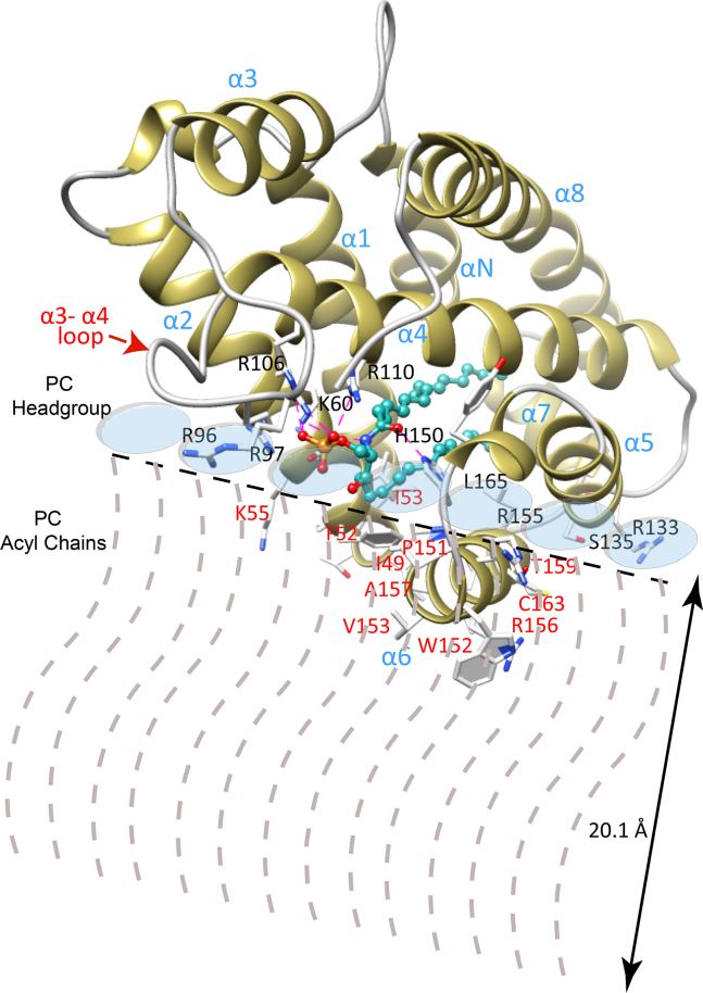 Fig. 7