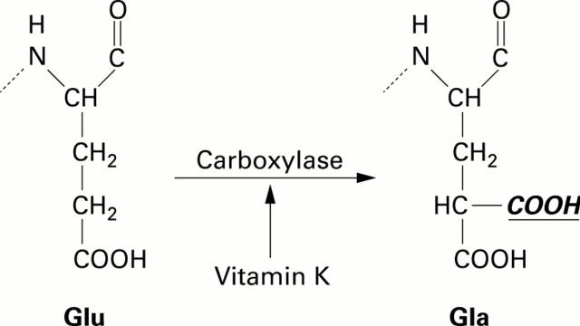 Figure 1  