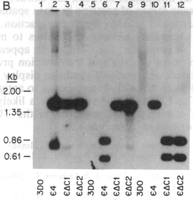 graphic file with name pnas00285-0290-a.jpg