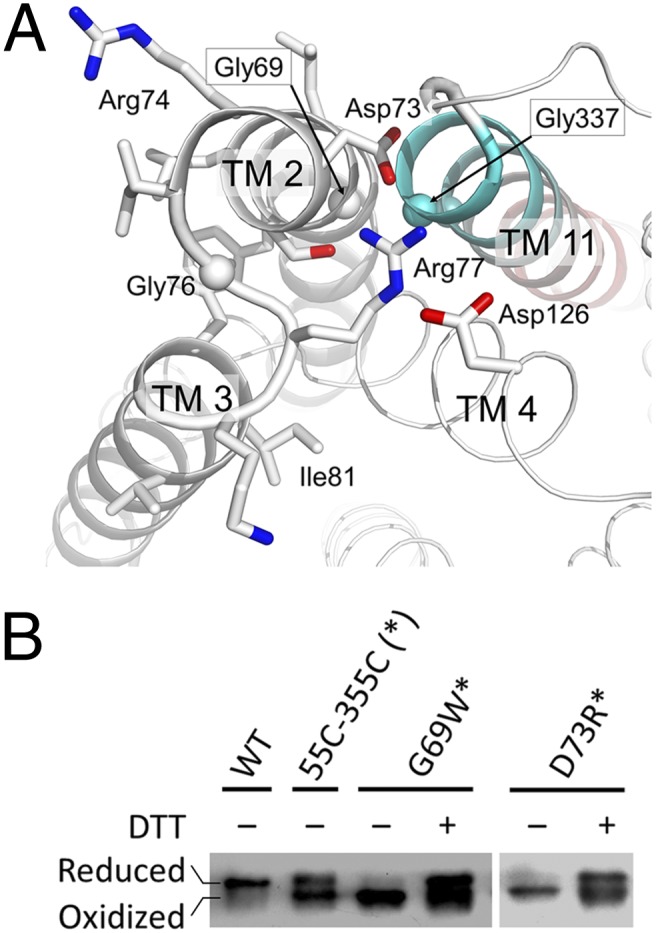 Fig. 2.