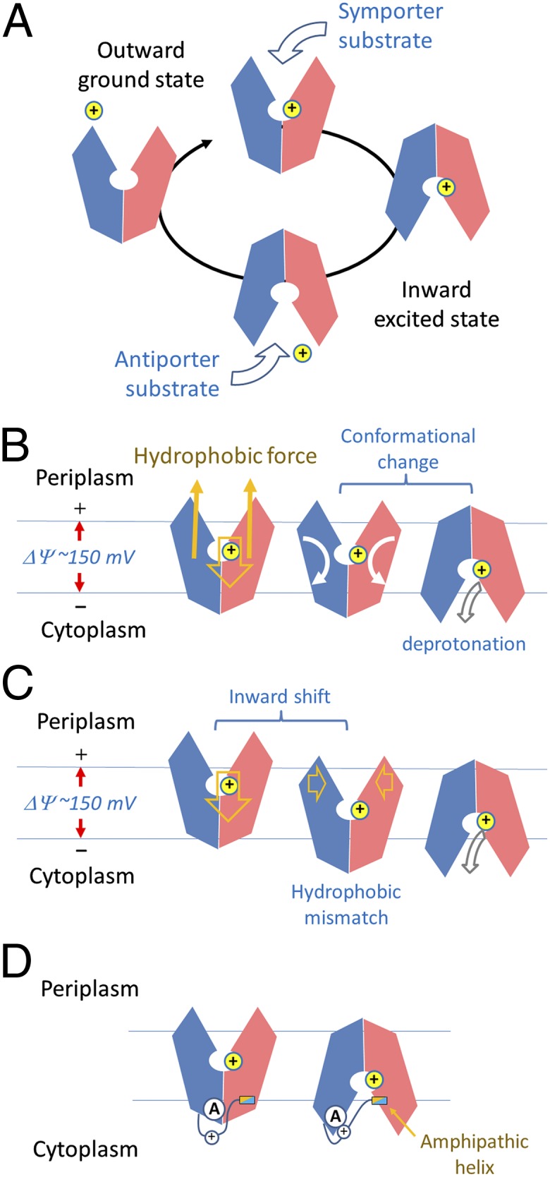 Fig. 3.