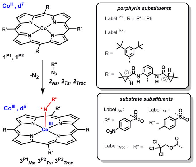 Scheme 3