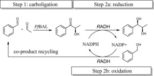 Scheme 1