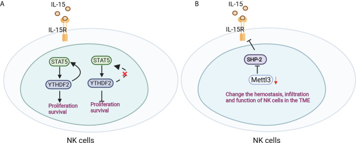 Figure 5