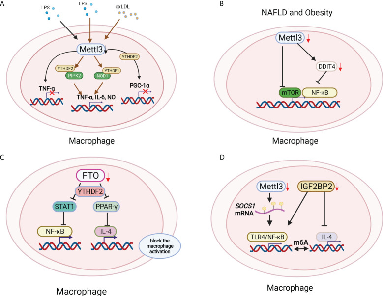 Figure 4