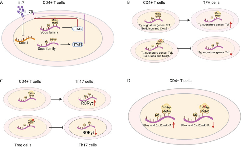 Figure 6