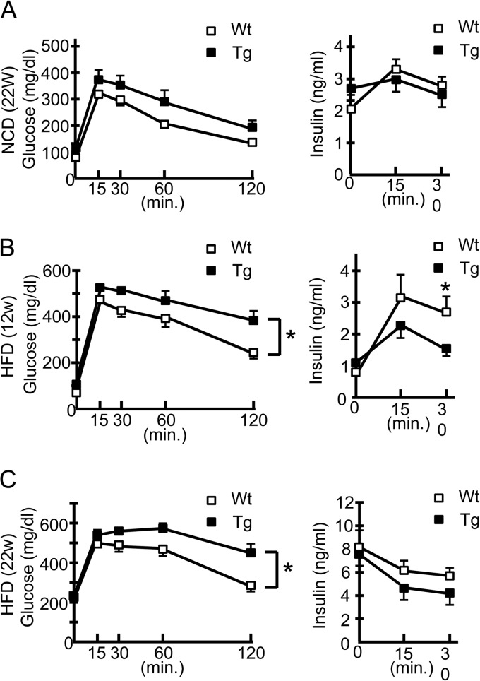 FIG 3