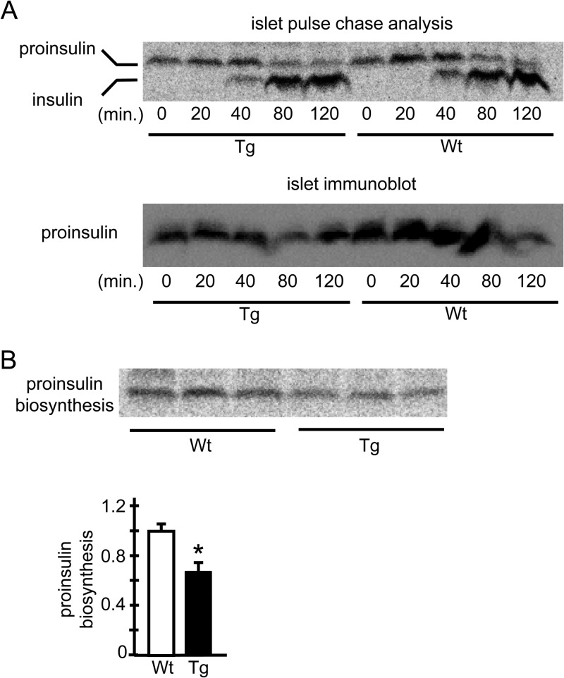 FIG 9