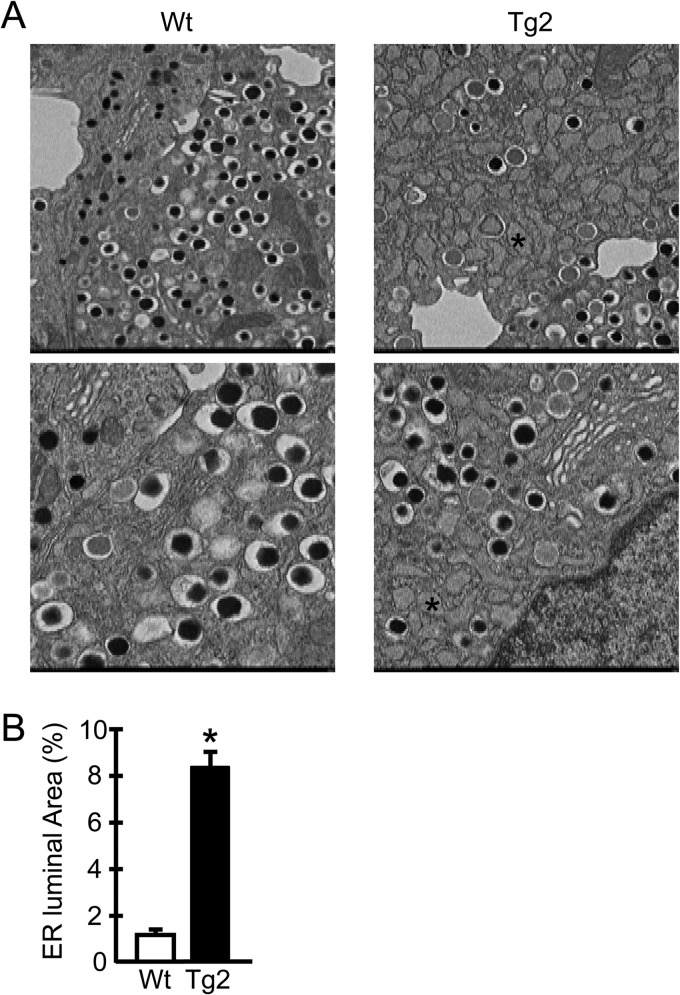 FIG 6