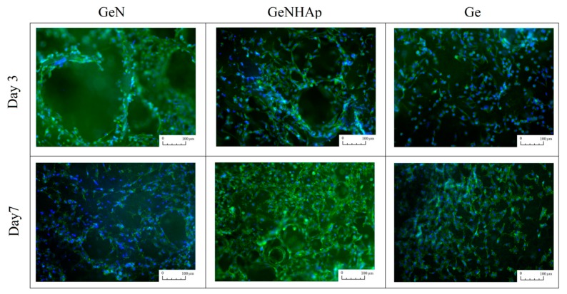 Figure 11