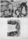 412-7