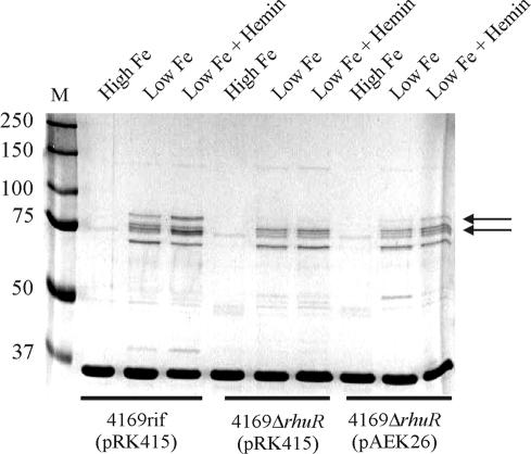 FIG. 7.