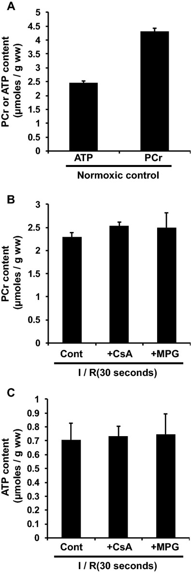 Figure 13.