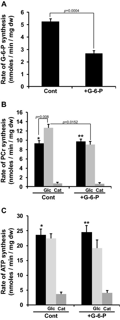 Figure 11.