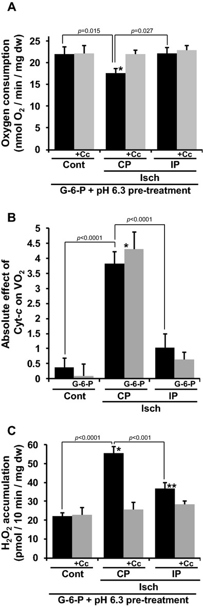 Figure 10.