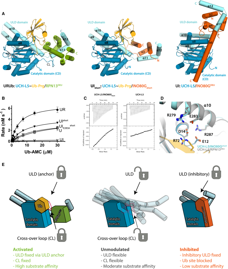 Figure 6