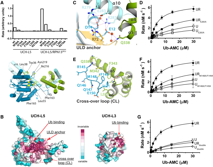 Figure 3