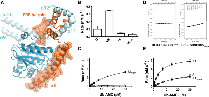 Figure 5