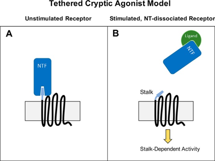 FIGURE 1.