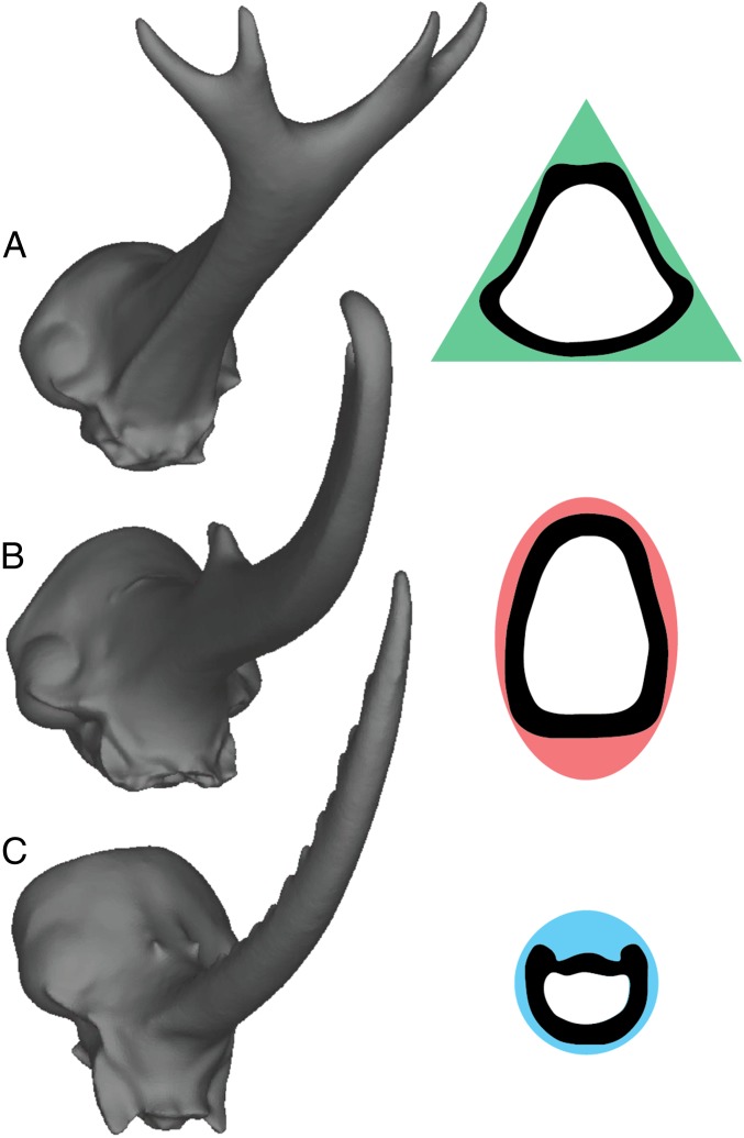 Fig. 4.