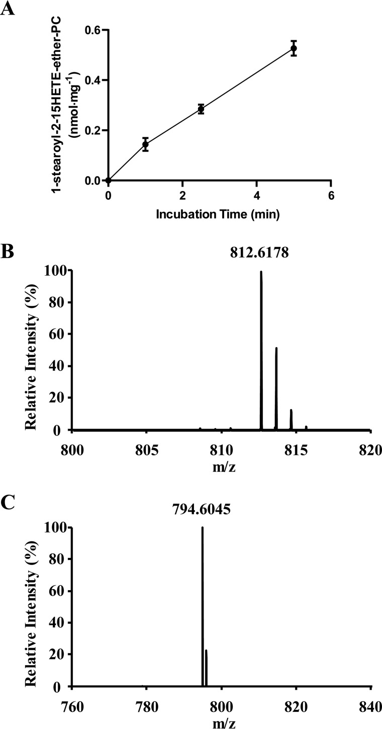 Figure 10.