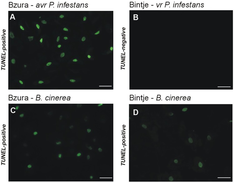 Fig 8