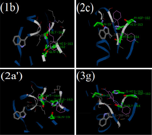 Fig. 10