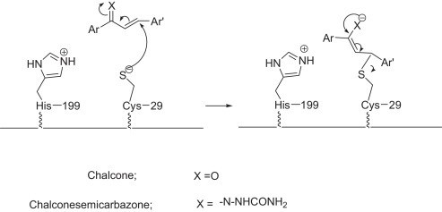 Scheme 2