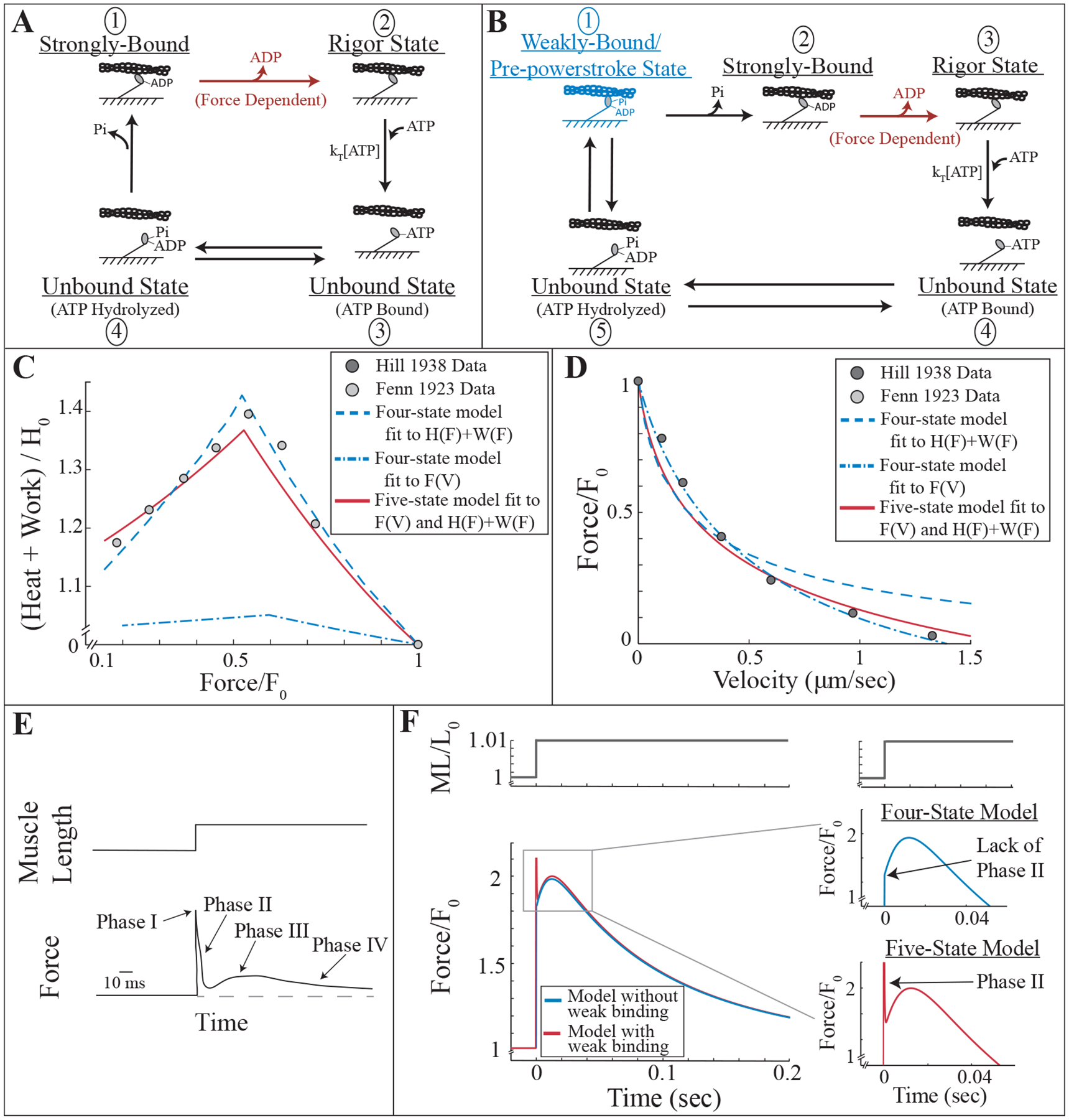 Figure 1: