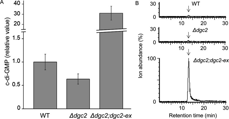 Fig 4