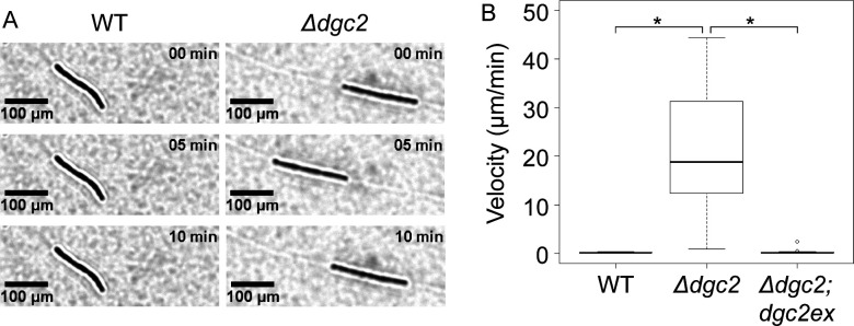 Fig 2