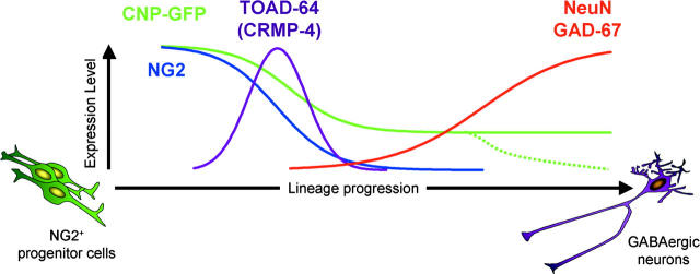 Figure 10.