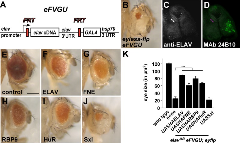 FIG 5