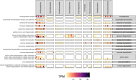 Extended Data Fig. 2
