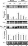 Fig. 2